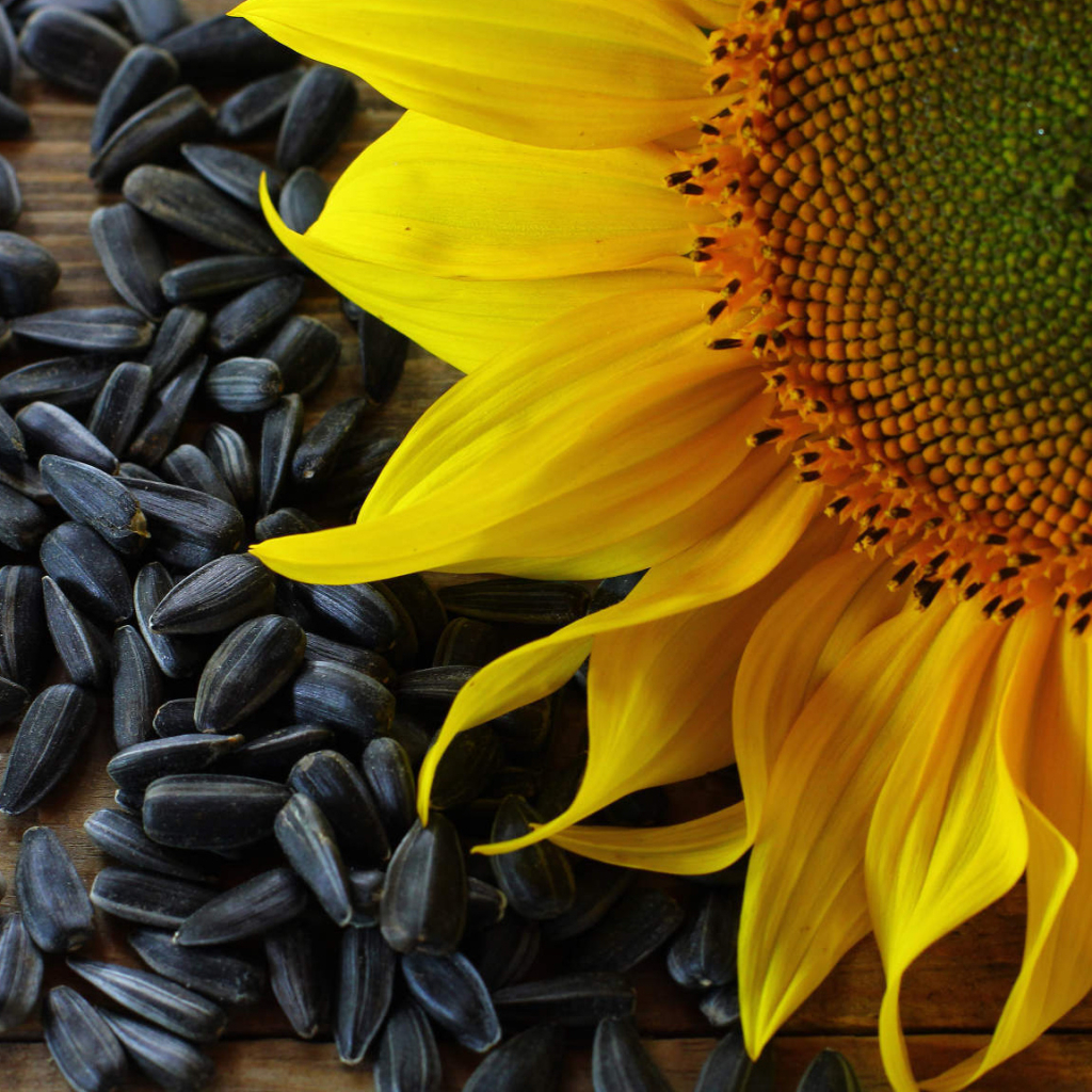 agrobest-grup-avgust-neu-farm-kompaniyalarining-o-zbekistondagi-rasmiy